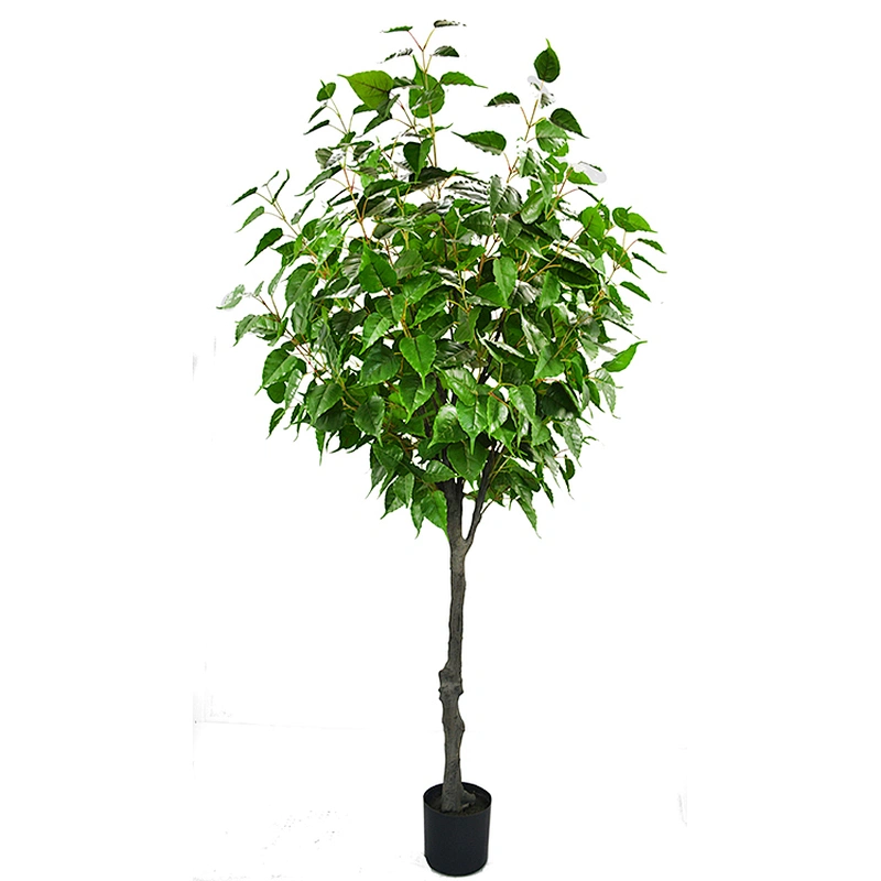 Factory Direct Sale Simulation Landscaping Russian Type Decorative White Birch Trees