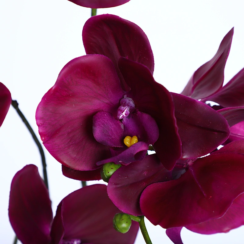 Factory Supply Artificial Flowers Faux Water Cymbidium Butterfly Orchid For Home Decoration