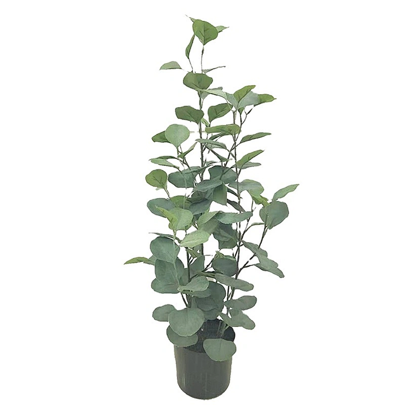 Real Touch Eucalyptus Leaf Factory Supply Wholesale Preserved Eucalyptus Leaf For Wedding Decor