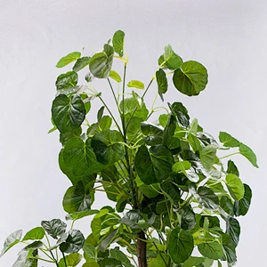 Home Decoration Used Comfortable Artificial Bonsai Plants And Trees Foliage For Sale, New Design Artificial Leaves