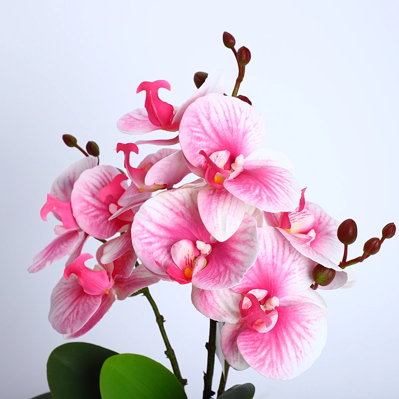 High Quality Real Touch Orchid Branch Pot Artificial Orchids Flowers For Wedding Party Home Decoration