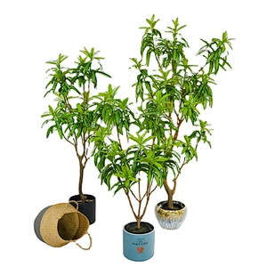 Factory Wholesale Artificial Decorative Lily Bamboo Tree For Sale