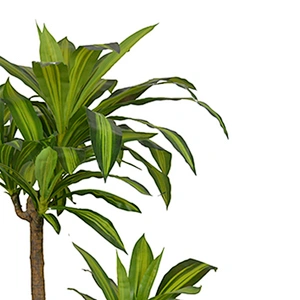 Wholesale Garden Suppliers Dracena Leaf Plant Tree Artificial Marginata Tropical Dracena