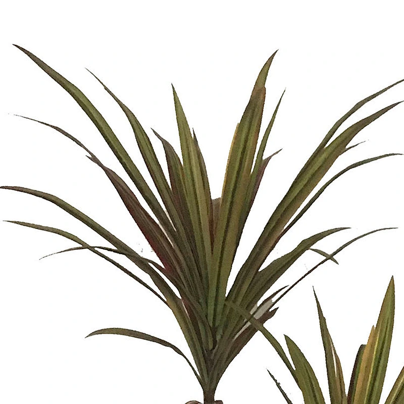 decoration artificial dracaena indoor display artificial plants artificial tree plants dracaena tree