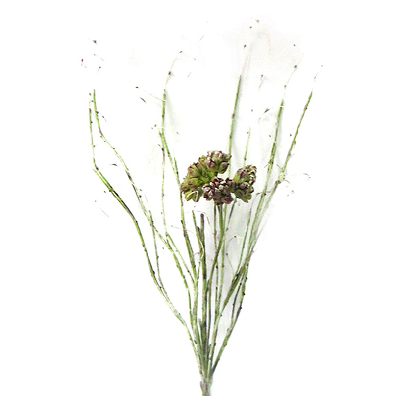 wholesale arts and crafts foam flowers large foam decorative model flowers for wedding