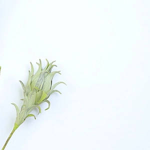 wholesale Real Touch artificial flower bouquet foam artificial foam for flowers arrangements