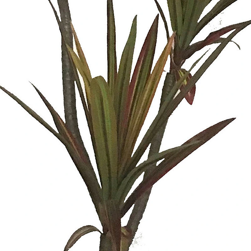 Artificial Brazil Dracaena Bonsai Tree Garden Dracaena Tree For Home Building Decor
