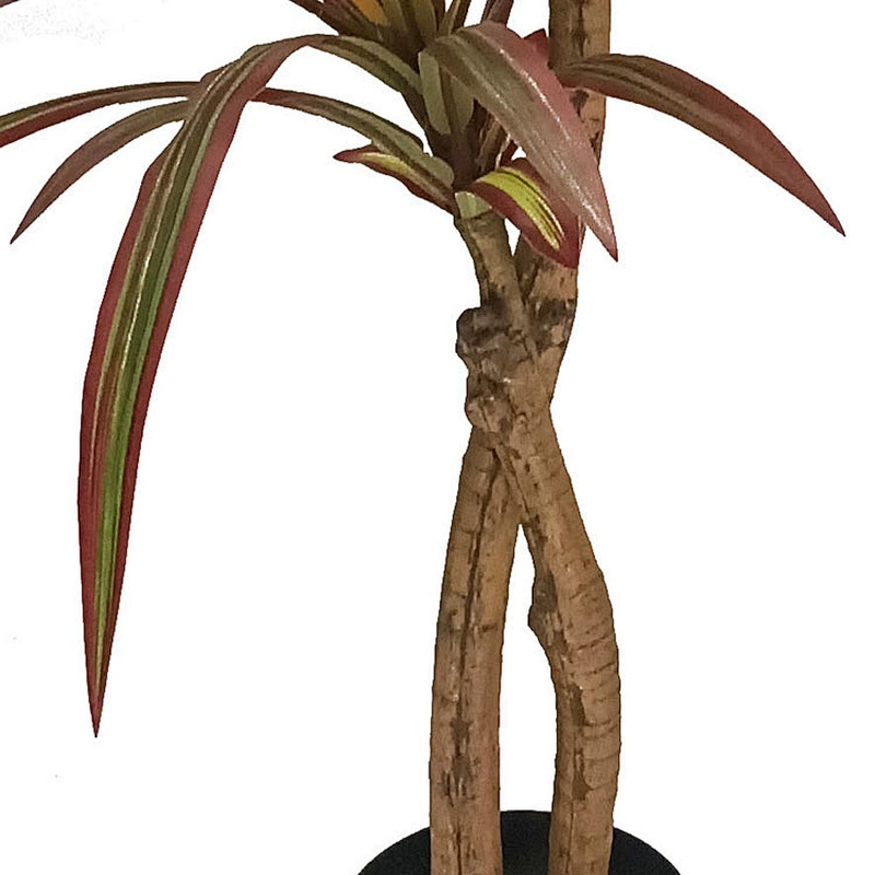 Tropical Plant Decoration Artificial Dracaena Tree Veriegated Dracaena Marginata Plant