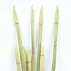 Vivid Customized Arts And Crafts Artificial Diy Bulk Foam Flowers Hand Foam Flower