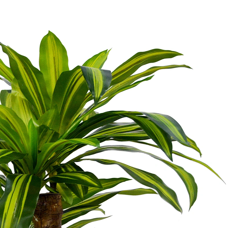 Houseplants Plastic Corn Plant Dracaena Fragrans Good Quality Happy Dracaena Tree
