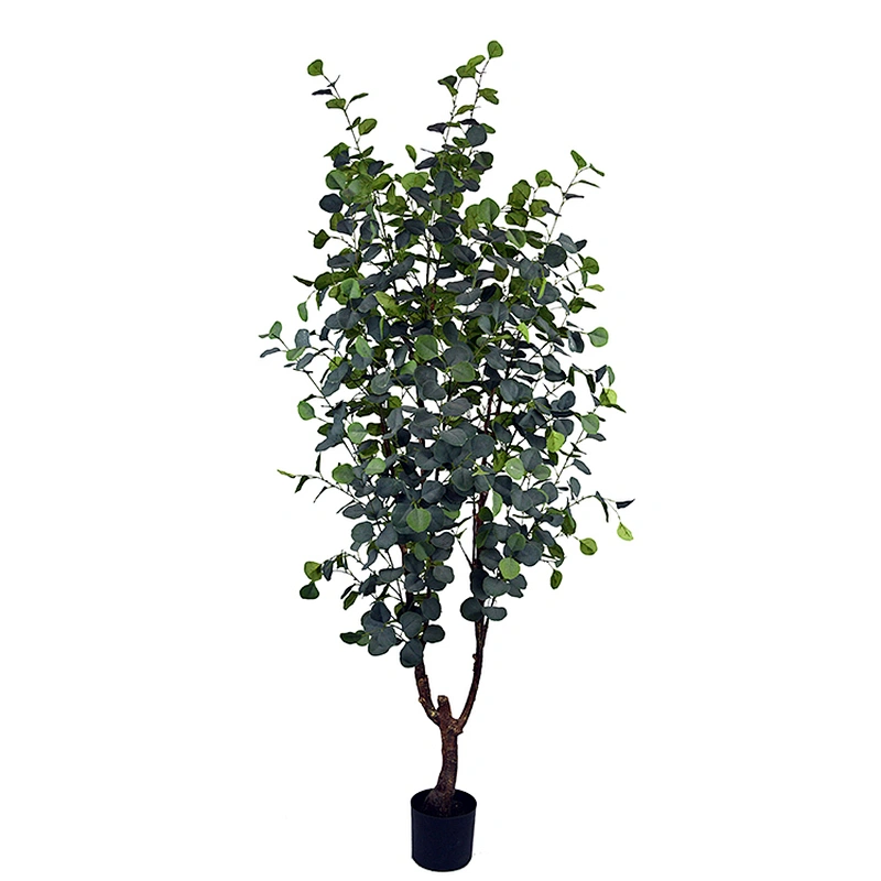 Real Touch Eucalyptus Leaf Factory Supply Wholesale Preserved Eucalyptus Leaf For Wedding Decor