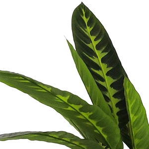 new design artificial plant decoration artificial bonsai plants excellent quality artificial plant