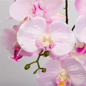 Wedding Party Home Decoration Phalaenopsis Artificial Real Touch Flower Butterfly Orchid