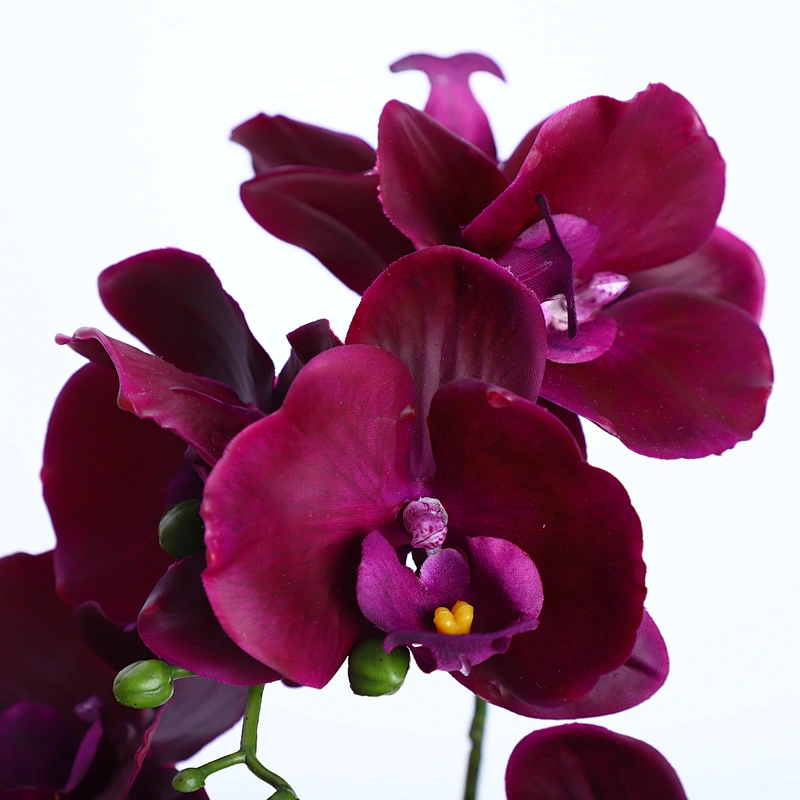 Factory Supply Artificial Flowers Faux Water Cymbidium Butterfly Orchid For Home Decoration