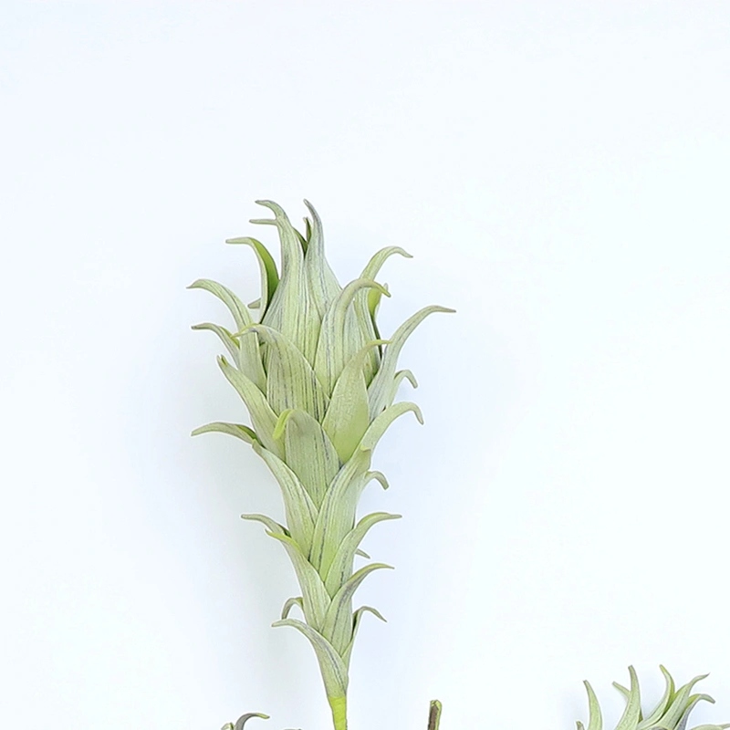 home decoration foam blossom festival items real touch foam flower artificial foam plant for sales