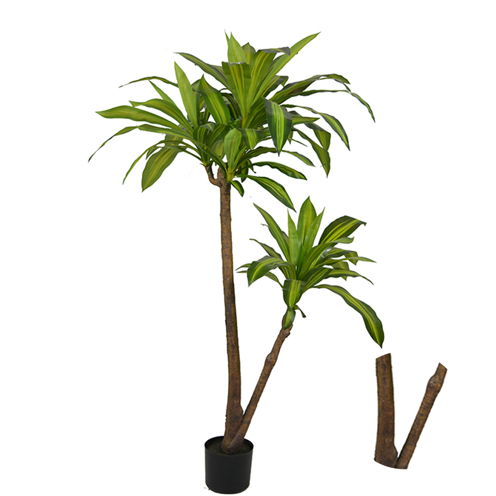 New Product Plastic Indoor Dracena Tree Big Plant Green Natural  Decor Outdoor Bonsai Dracena Tree