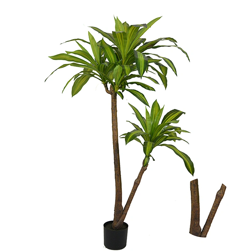 New Product Plastic Indoor Dracena Tree Big Plant Green Natural  Decor Outdoor Bonsai Dracena Tree