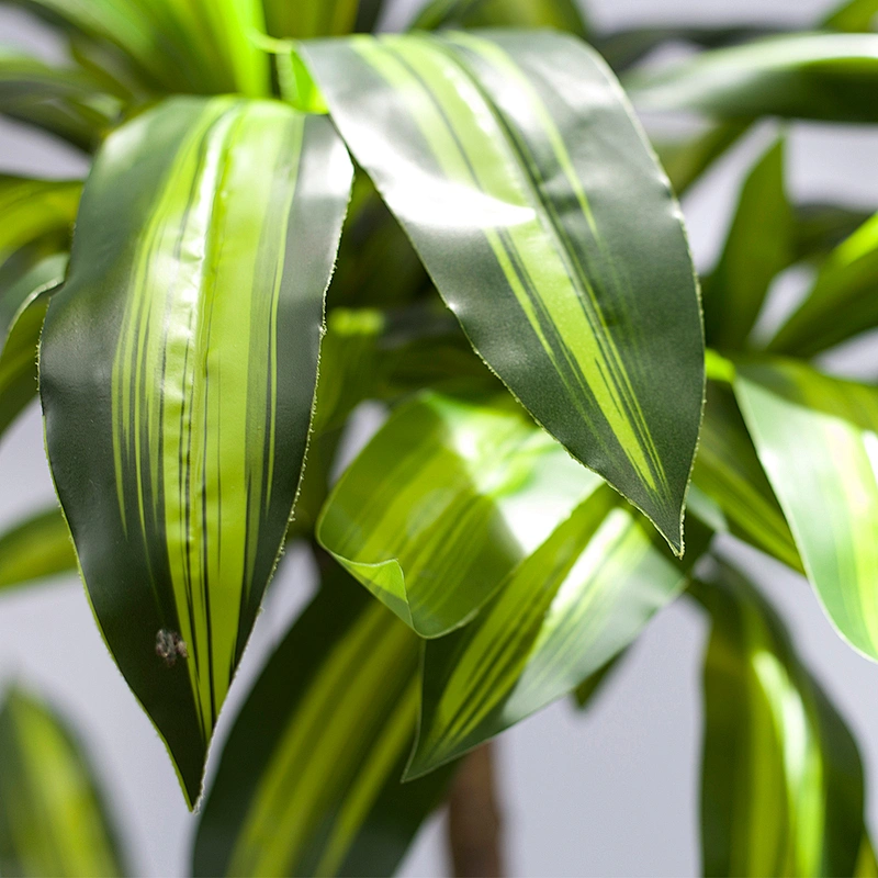 Houseplants Plastic Corn Plant Dracaena Fragrans Good Quality Happy Dracaena Tree