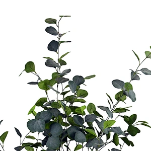 180cm 6 Feet Ficus Bonsai Artificial Eucalyptus Tree For Outdoor Real Estate Hotel Restaurant Decoration Items