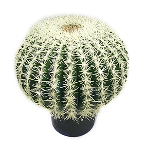 Hot Sales Best Selling Artificial Cactus New Style  Potted Plant Home Decoration Cactus