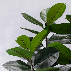 Garden Decorative Real Touch Artificial Greenery Wedding Centerpieces Plants Rubber Plant Tree