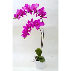 High Quality China Supplier Artificial Silk Real Touch Orchid Flower with ceramic/plastic pot
