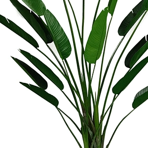 Outdoor Artificial Plants Banana Trees Shredder Hotel Wedding Decoration Banana Tree With Banana
