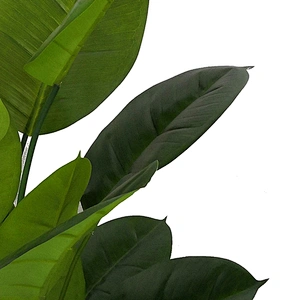 indoor home decorative artificial scindapsus aureus tree evergreen artificial scindapsus aureus trees