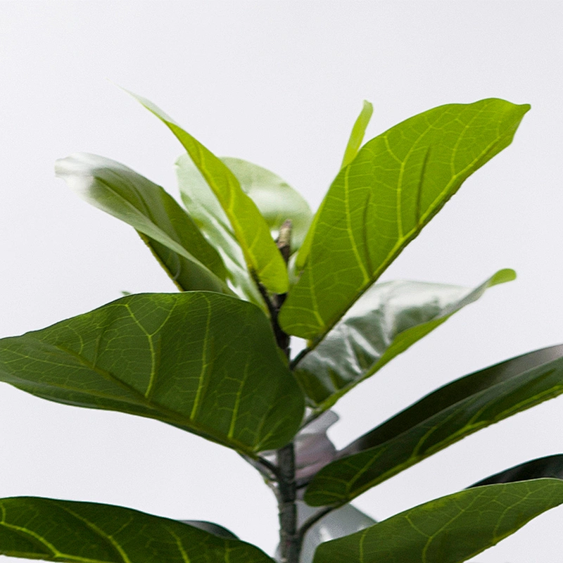 Artificial Outdoor Palm Trees Fiddle Fig Tree Manufacturer Decorative Indoor Green  Fiddle Leaf Tree Price