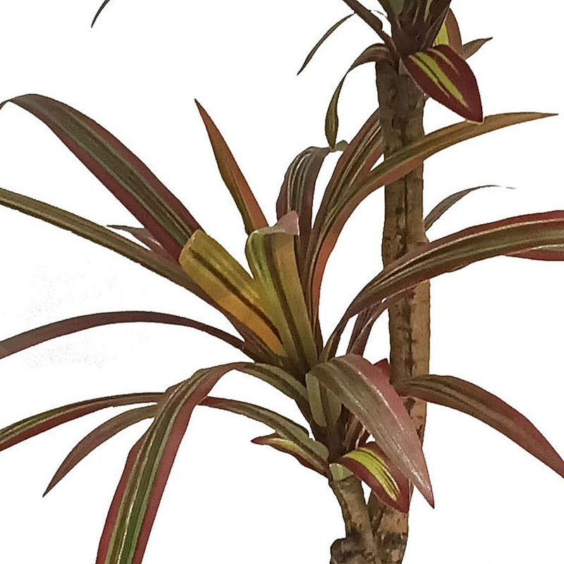 Tropical Plant Decoration Artificial Dracaena Tree Veriegated Dracaena Marginata Plant