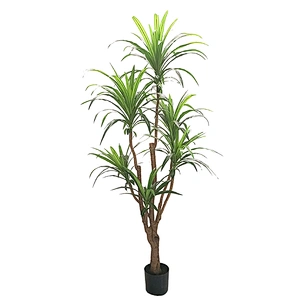 Fashion Professional Artificial Plants Trees Simulation Widely Cycas real touch Widely Cycas