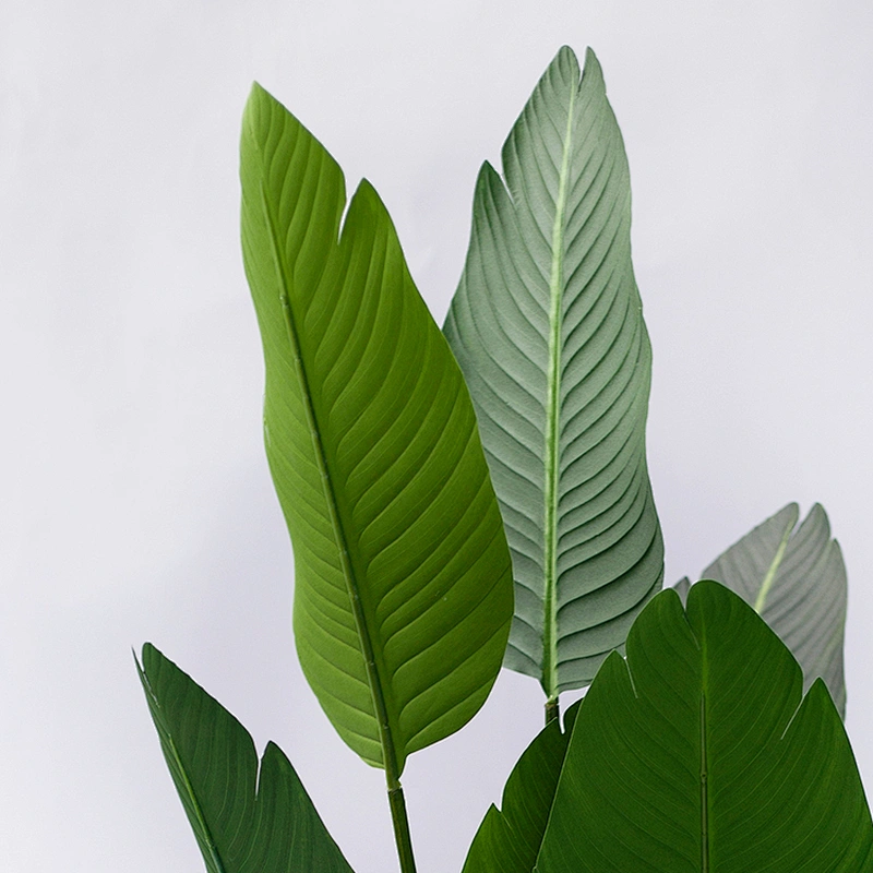Real Touch Artificial Banana Tree Plants Artificial Decorative Varigata Plam Banana Tree Suppliers