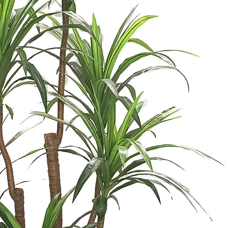 Factory Wholesale Fruticose Dracaena Tree Artificial Plants Indoor Display Greenery Dracaena