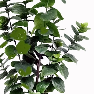 Nearly Natural new design artificial plant indoor artificial plastic plant for sale