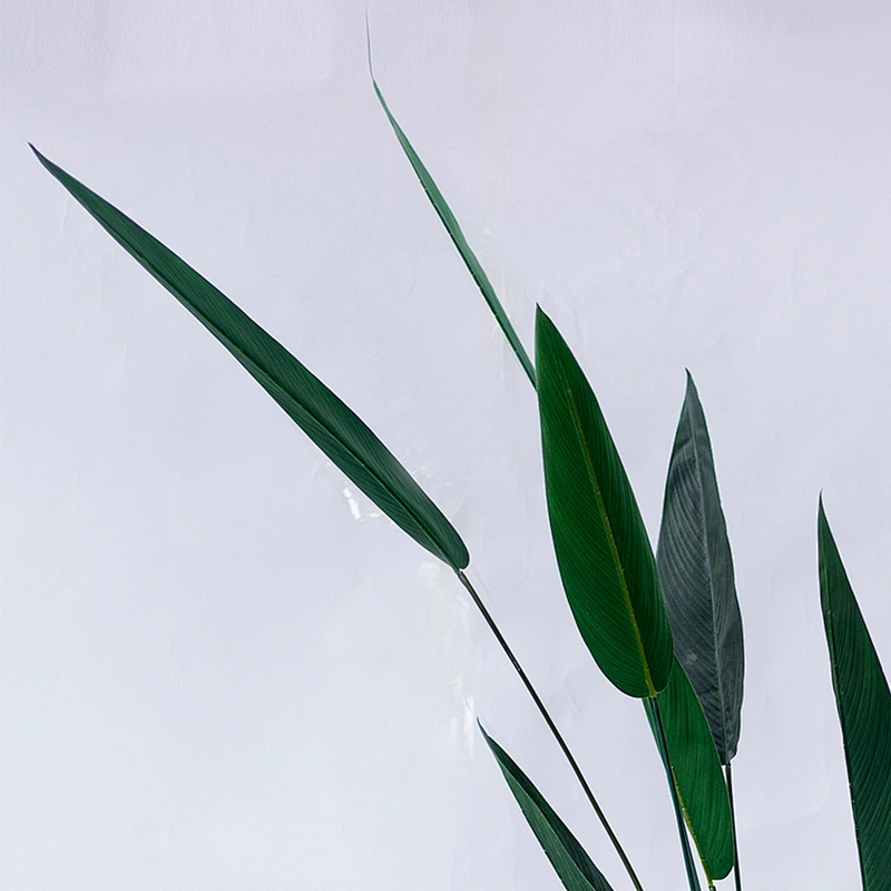 Good prices OEM Excellent Quality Strelitzia Plants Bonsai Fabric Ornamental Artificial Leaves Trees