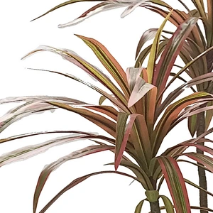 wholesale Artificial Dracaena Tree decoration artificial plant artificial dracaena plant