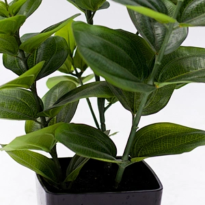 Factory Direct Sales Garden Artificial plant indoor display artificial plants plastic plants for sale
