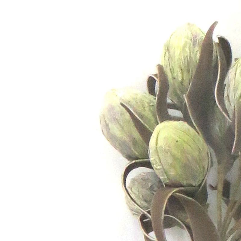 Real Touch Gifts And Decorations foam flowers decorationfoam Artificial foam flowers with stem