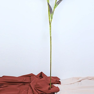 Popular Vivid Customized oasis plant foam flower handy carfts flower foam decoration