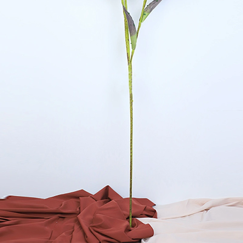 Popular Vivid Customized oasis plant foam flower handy carfts flower foam decoration
