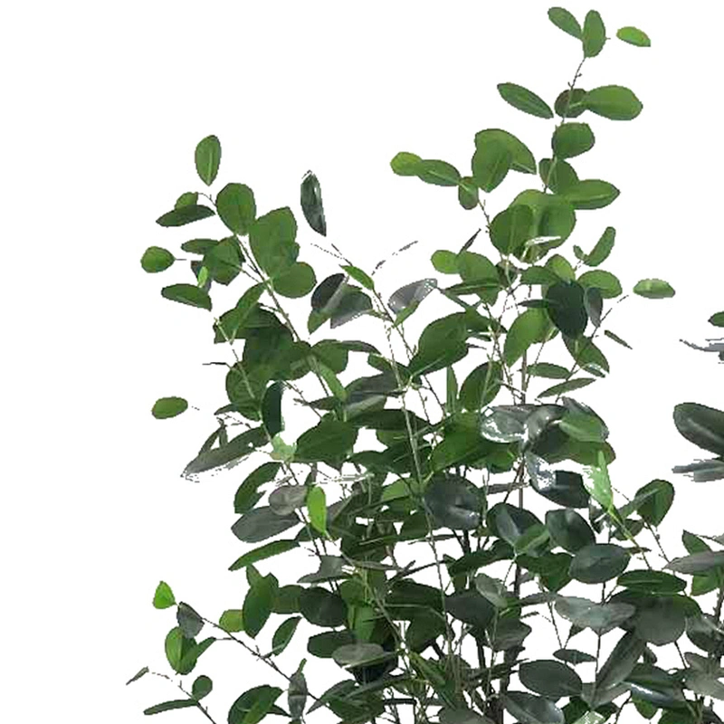 Manufacturer Direct Salegiant artificial ficus trees Artificial Plants Banyan Tree banyan tree artificia