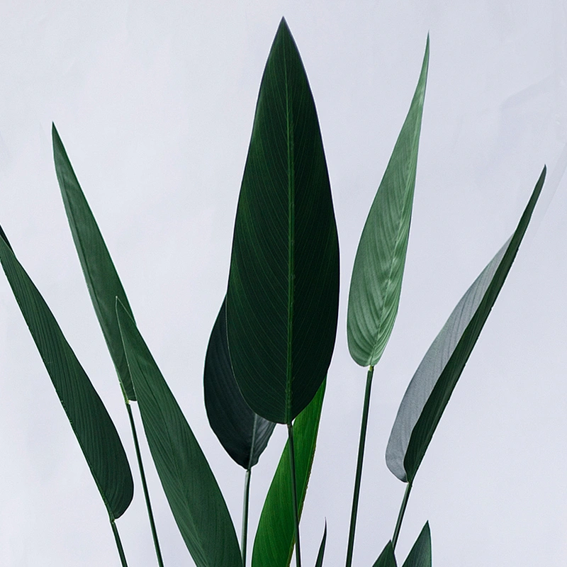 Furniture Decoration wholesale beautiful strelitzia artificial strelitzia plant Bonsai In The Living Room