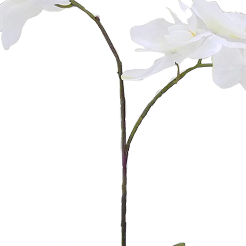 Office Wedding Decoration Orchid Flower Wholesale Spring Real Touch Iatex Artificial Orchid Flower For Home