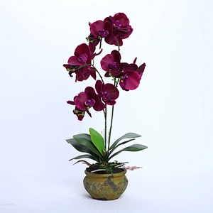 Factory Supply Artificial Flowers Faux Water Cymbidium Butterfly Orchid For Home Decoration
