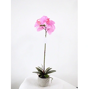Hot sale Artificial Real Touch Orchid Flower/Plant With Pot For Home/Garden Showroom Shop Decoration