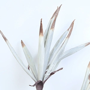 New Design Real Touch Artificial Flower Foam Flowers Decoration Floral Foam Plant Seasonal Flora