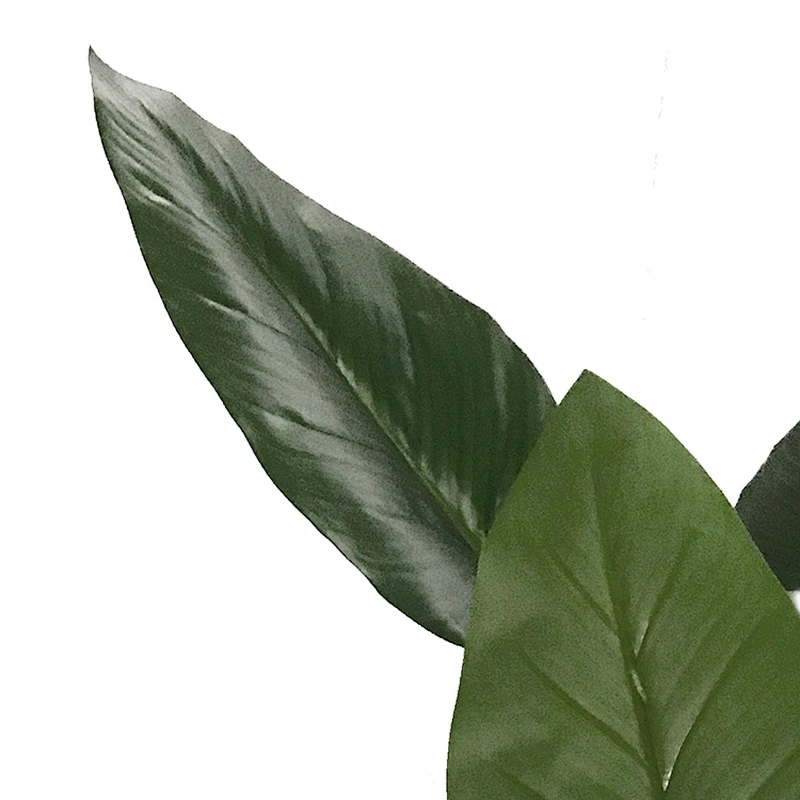 Hot Sale Good Quality philodendron plants flowers artificial philodendron for home plant