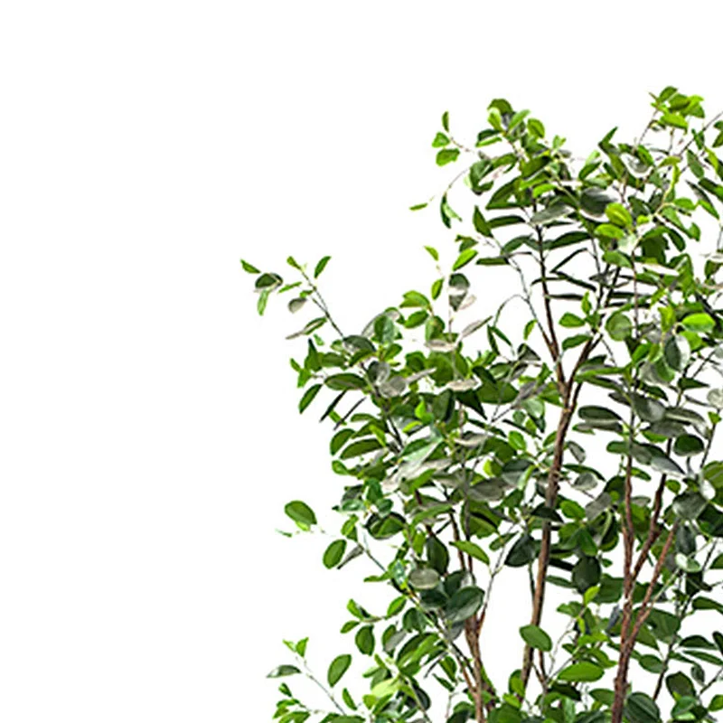 Wholesale Cheap Artificial Ficus Tree Good Quality banyan tree Artificial Banyan Tree for home