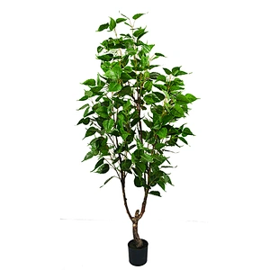 Factory Direct Sale Simulation Landscaping Russian Type Decorative White Birch Trees