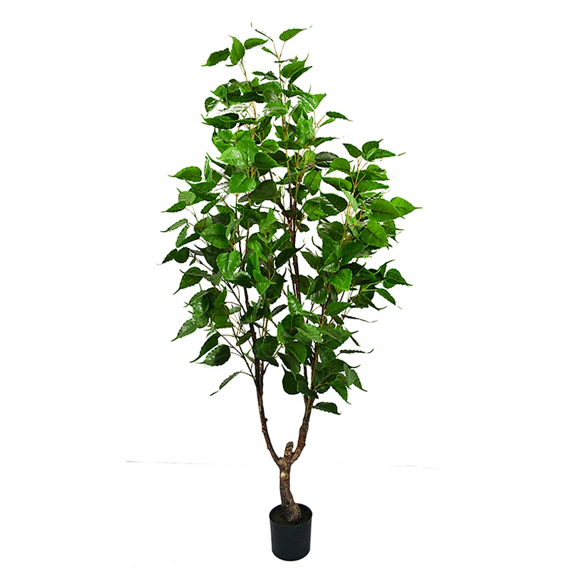 Factory Direct Sale Simulation Landscaping Russian Type Decorative White Birch Trees